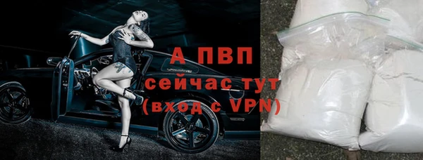 гидра Наволоки