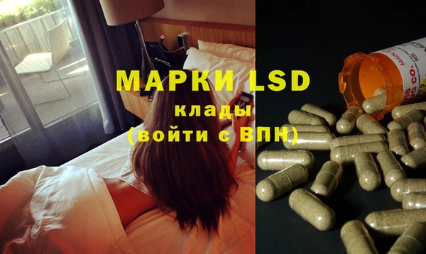 гидра Наволоки