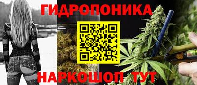 гидра Гагарин