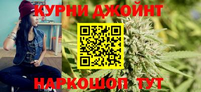 гидра Гагарин