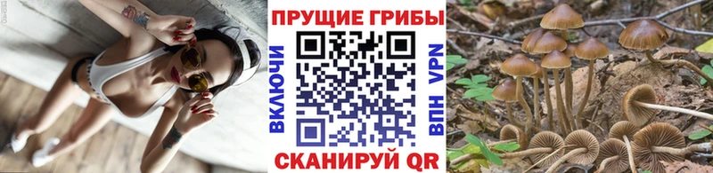 Галлюциногенные грибы Cubensis МЕГА tor Набережные Челны