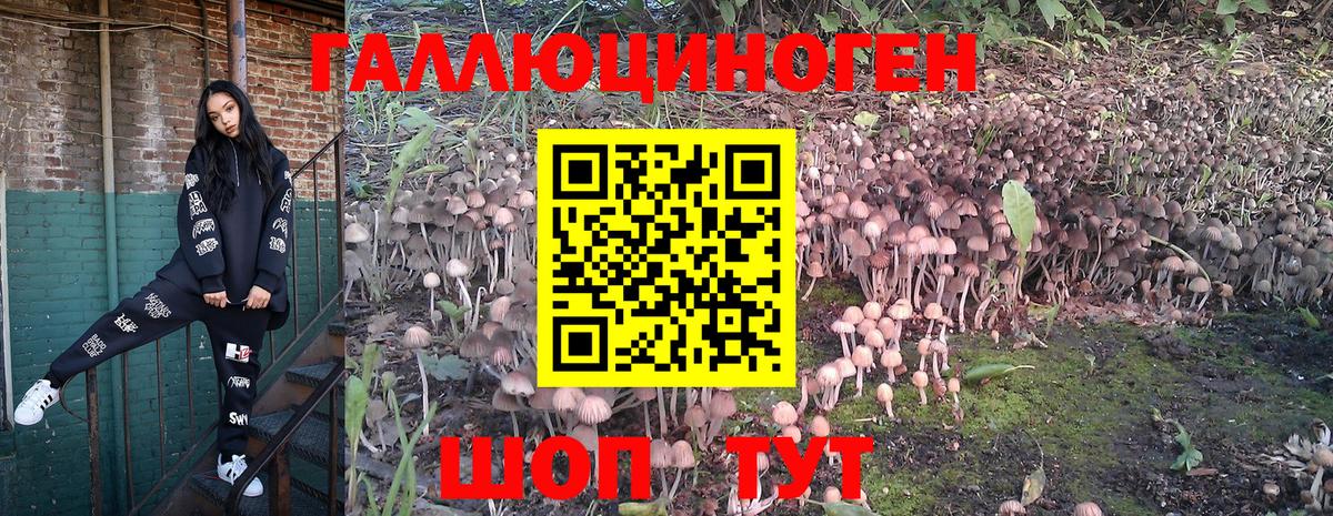 Галлюциногенные грибы Psilocybine cubensis Набережные Челны