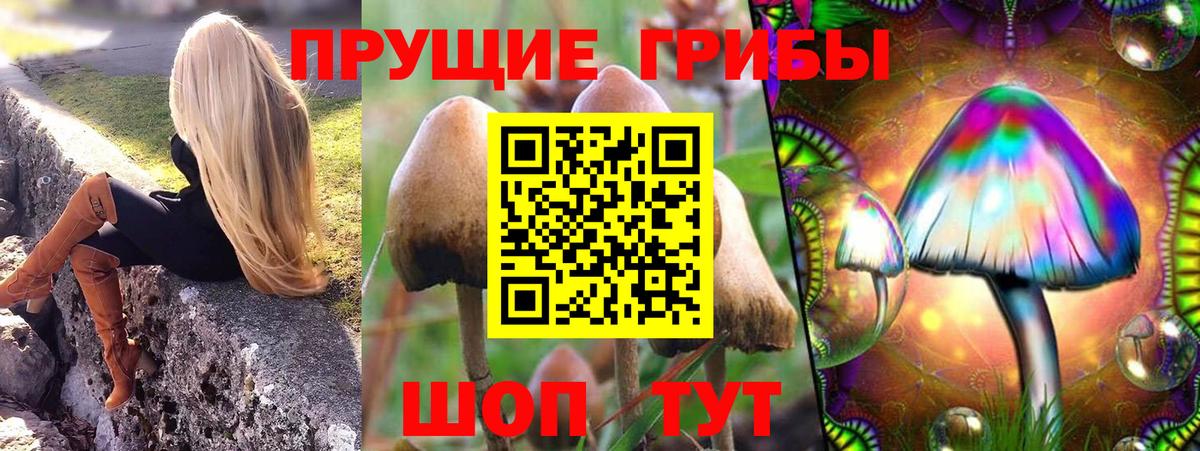 Набережные Челны  Псилоцибиновые грибы Psilocybine cubensis  Галлюциногенные грибы Magic Shrooms  Вход с VPN 